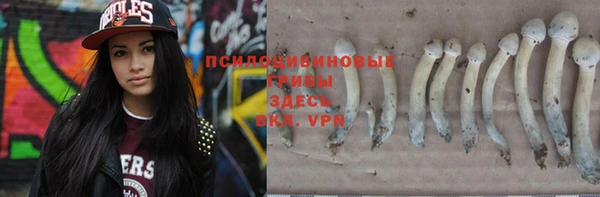 меф Алексин
